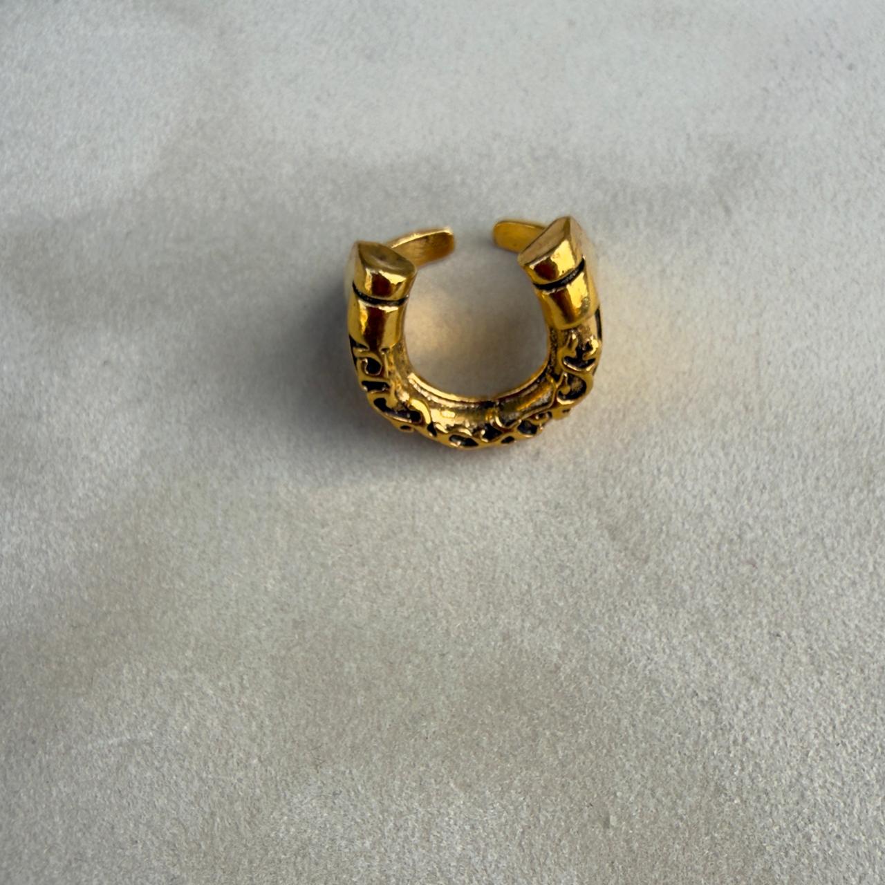 Herradura Dorada / Golden Horseshoe