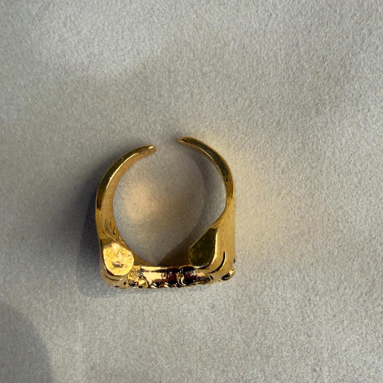 Herradura Dorada / Golden Horseshoe